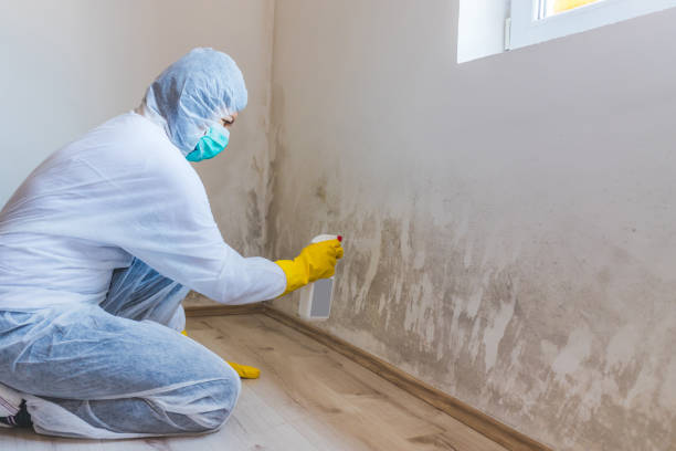 Hvac And Air Duct Mold Remediation inspection of HVAC system in East Brunswick