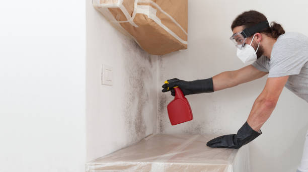 Attic Mold Remediation treatment on roof deck in East Brunswick