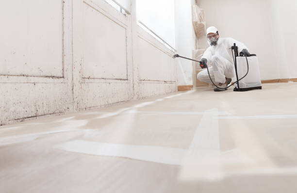 Black mold remediation team in East Brunswick