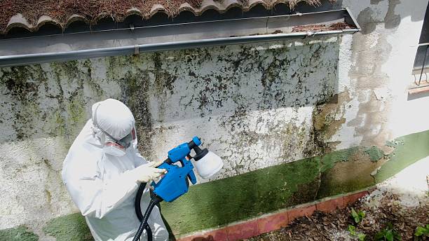 Mold Remediation service in East Brunswick, East Brunswick, NJ
